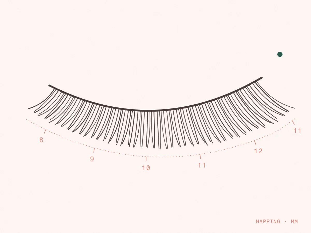 Illustration: Wimpernkranz mit Mapping in Millimetern